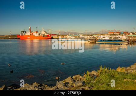 Navi da crociera e cargo al porto di Ushuaia nel Parco Nazionale Tierra del Fuego al tramonto, Patagonia, Argentina Foto Stock