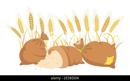 Farina di sacco e spighe di grano, composizione cartoni animati. Farina di mucchio, spokelet di grano dorato. Raccolto agricolo simbolo produzione di farina. Progettazione di elementi agricoli biologici, vettore di etichette per imballaggi organici Illustrazione Vettoriale