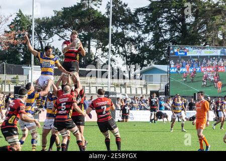 TAURANGA, NUOVA ZELANDA - 1 settembre 2018; Rugby a Tauranga Domain, Bay of Plenty Steamers squadra che gioca Canterbury saltando in line-out in National Cha Foto Stock