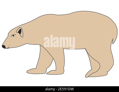 Illustrazione vettoriale orso polare animale su sfondo bianco è isolato Illustrazione Vettoriale
