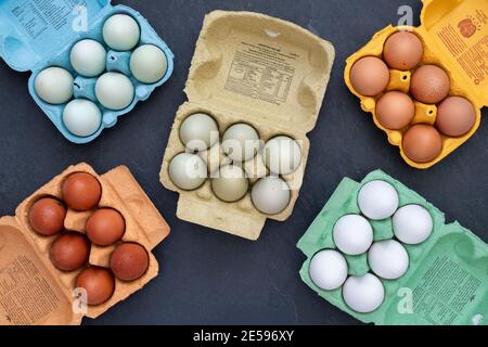 Diversi tipi di uova di gamma libera in scatole su a. sfondo ardesia Foto Stock