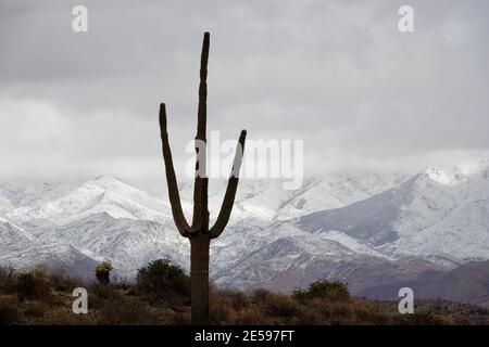 Una tempesta invernale copre le quattro montagne sulla neve nella natura selvaggia del deserto dell'Arizona fuori dalla città di Phoenix. Foto Stock