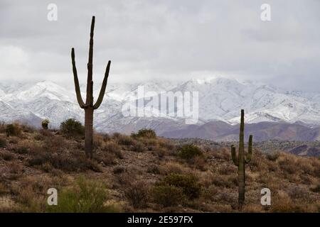 Una tempesta invernale copre le quattro montagne sulla neve nella natura selvaggia del deserto dell'Arizona fuori dalla città di Phoenix. Foto Stock