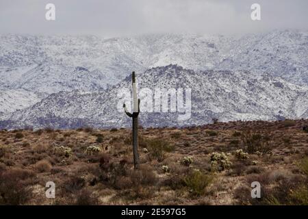 Una tempesta invernale copre le quattro montagne sulla neve nella natura selvaggia del deserto dell'Arizona fuori dalla città di Phoenix. Foto Stock