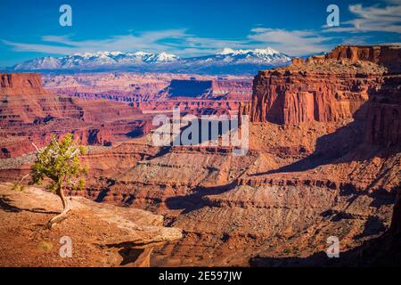 Il Parco Nazionale di Canyonlands è un U.S. Parco nazionale situato nel sudest dell'Utah vicino alla città di Moab. Foto Stock