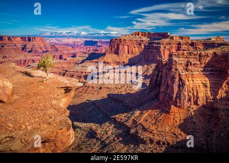 Il Parco Nazionale di Canyonlands è un U.S. Parco nazionale situato nel sudest dell'Utah vicino alla città di Moab. Foto Stock