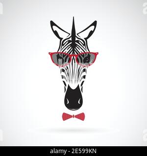 Vettore di una zebra che indossa occhiali da sole su sfondo bianco. Moda animale. Illustrazione vettoriale a livelli facilmente modificabile. Illustrazione Vettoriale