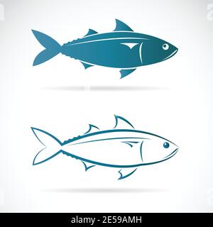 Immagine vettoriale di uno sgombro su sfondo bianco. Illustrazione vettoriale a livelli facilmente modificabile. Animali. Illustrazione Vettoriale