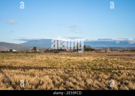 Samish Unit è composta da campi agricoli e zone umide, situata adiacente alla Baia di Padilla, nella contea di Skagit, a nord-ovest. Si tratta di un popolare acquedone Foto Stock