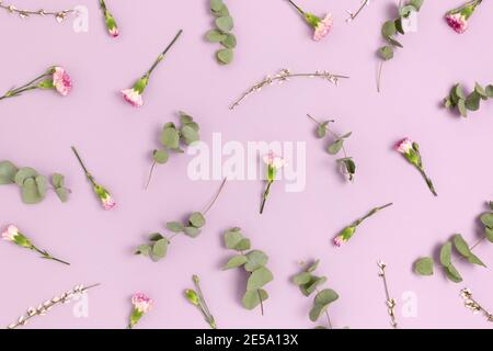 Motivo fatto di eucalipto e fiori di garofano su uno sfondo color pastello viola. Concetto di festa. Foto Stock