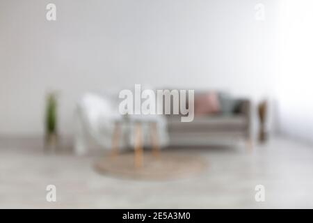 Divano grigio con cuscini blu, rosa e soffice coperta, piante secche in vaso, piante in vaso Foto Stock