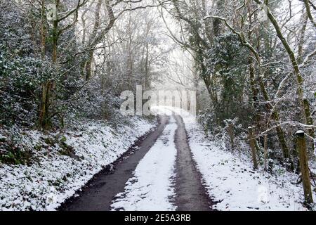 Bella strada di campagna con alberi e neve in inverno Carmarthenshire Galles UK Gennaio 2021 KATHY DEWITT Foto Stock