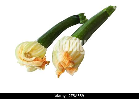 Baby Courgette o zucca Zucchini con fiori isolati su uno sfondo bianco. Tracciato di ritaglio incluso. Foto Stock