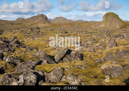 Paesaggio vulcanico con licheni e mossi, Islanda, Penisola di Reykjanes Foto Stock