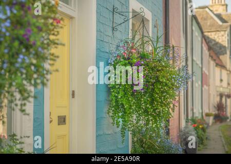 Bellissimi cestini Hanging Flower si aggirano all'esterno di colorate case dipinte Una strada in Scozia Foto Stock