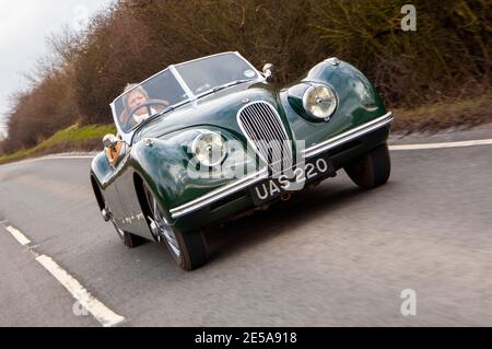 Jaguar XK120s uno nelle specifiche stradali e uno in livrea da corsa Foto Stock