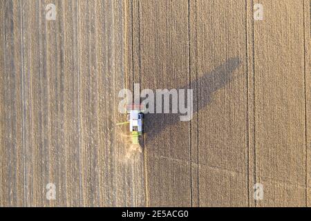 Vista dall'alto verso il basso dell'antenna di una trebbiatrice che raccoglie il grano Un settore agricolo in Finlandia Foto Stock