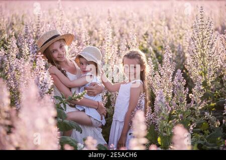 Tre sorelle in tresti bianche si abbracciano. Le ragazze giocano nel campo fiorente del salvia viola. Felice famiglia innamorata. Camminando nell'aria fresca, c felice Foto Stock