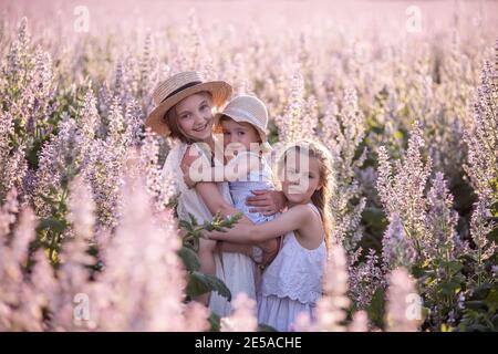 Tre sorelle in tresti bianche si abbracciano. Le ragazze giocano nel campo fiorente del salvia viola. Felice famiglia innamorata. Camminando nell'aria fresca, c felice Foto Stock