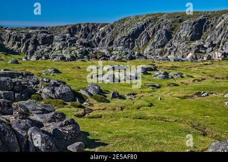 Riegel glaciali, massi erosi glaciali in primo piano, Parco Naturale Serra da Estrela, Regione Centro, Portogallo Foto Stock