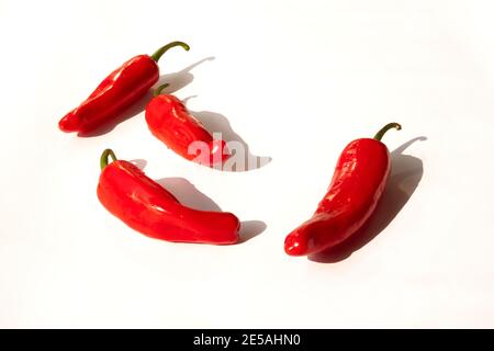 ANCORA VITA DI PEPE ROSSO INDIANO Foto Stock