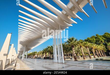 Ombrellone curvo presso la moderna passeggiata nel porto di Malaga. Andalusia, Spagna Foto Stock