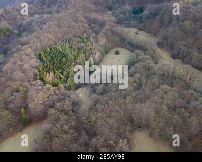 Bella immagine aerea drone della Vienna Woods in gennaio nel pomeriggio Foto Stock