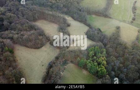 Bella immagine aerea drone della Vienna Woods in gennaio nel pomeriggio Foto Stock