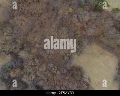 Bella immagine aerea drone della Vienna Woods in gennaio nel pomeriggio Foto Stock