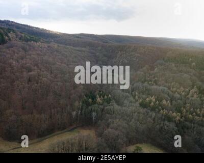 Bella immagine aerea drone della Vienna Woods in gennaio nel pomeriggio Foto Stock