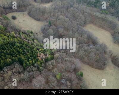 Bella immagine aerea drone della Vienna Woods in gennaio nel pomeriggio Foto Stock