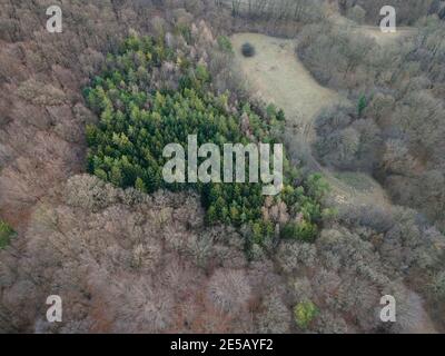 Bella immagine aerea drone della Vienna Woods in gennaio nel pomeriggio Foto Stock