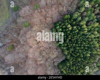Bella immagine aerea drone della Vienna Woods in gennaio nel pomeriggio Foto Stock