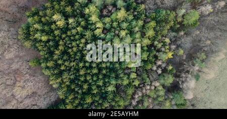 Bella immagine aerea drone della Vienna Woods in gennaio nel pomeriggio Foto Stock