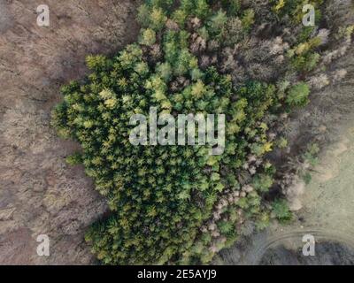 Bella immagine aerea drone della Vienna Woods in gennaio nel pomeriggio Foto Stock