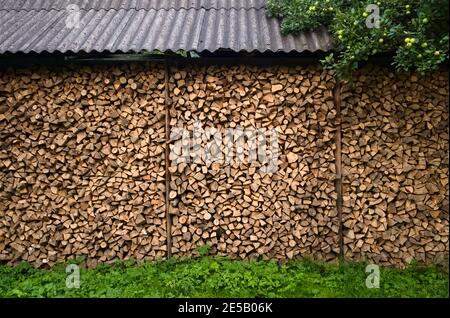 Pila di tronchi di legna da ardere tritato in un palo. Pila di legna da ardere come lungo la parete della casa sotto il tetto nel piccolo villaggio ucraino. Ucraina Foto Stock