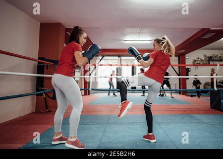 Ragazze in un anello di boxe che praticano manovre kick box. Giovane kick boxer femmina che kickboxing in un anello di boxe. Foto Stock