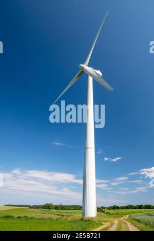 Turbine eoliche che producono elettricità, costruite su un campo a Skanderborg, Danimarca Foto Stock