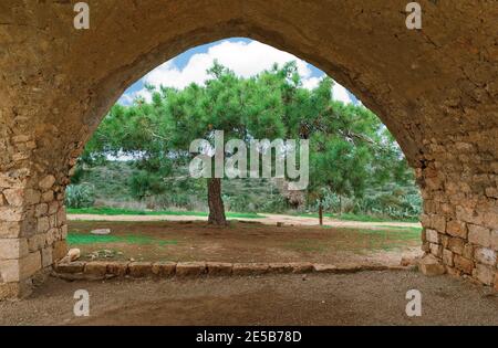 Rovine dell'antica fortezza di Belvoir, Israele Foto Stock