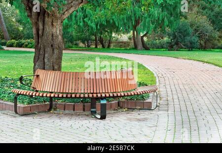 Bella panchina vicino all'albero nel parco, Israele Foto Stock