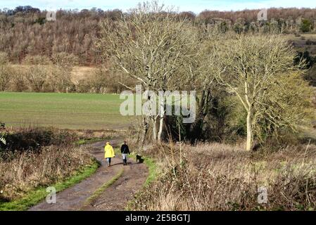 Due donne che camminano cane nelle colline di Surrey su un Giornata di inverni soleggiati vicino Dorking Surrey Inghilterra UK Foto Stock