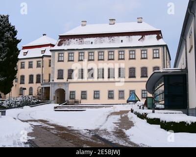 Laupheim, Germania: Il castello in inverno Foto Stock