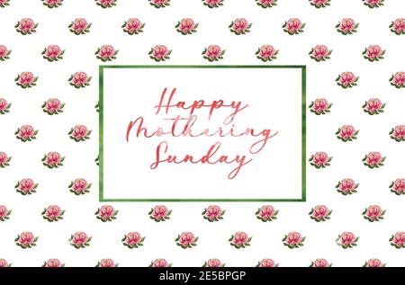 Splendido disegno acquerello di fiori luminosi. Primo piano Foto Stock