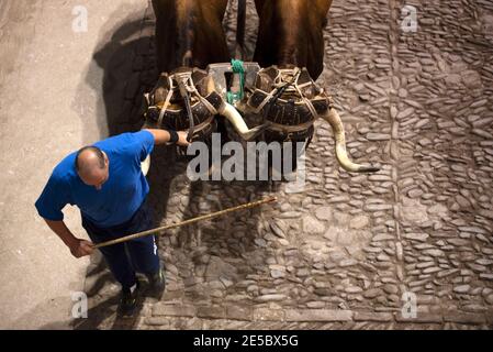 pietra di trascinamento dei buoi Foto Stock