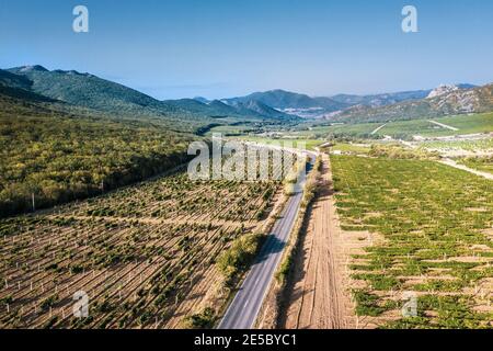 Bellissimi vigneti nelle montagne della Crimea. Vista aerea del drone. Foto di alta qualità Foto Stock