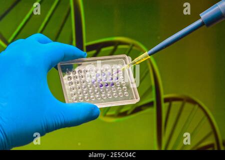 Ricerca nel campo della genomica. Analisi del DNA. Foto Stock