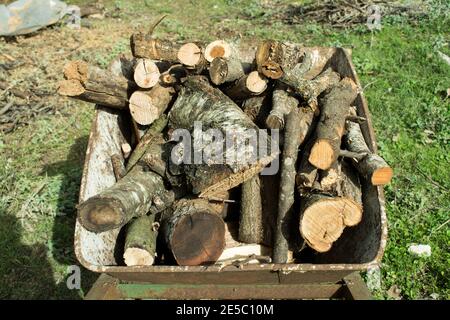 Un vecchio carriolo arrugginito caricato con legna secca tagliata in un palo si erge sul terreno con erba verde. Preparazione di legna da ardere per l'inverno. Foto Stock