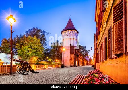 Città vecchia medievale e la Torre dei Carpentieri nella città di Sibiu, regione della Transilvania, Romania Foto Stock