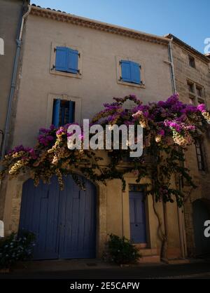 Vista panoramica di rosa viola giallo glicine fiore pianta su storico edificio vecchio muro facciata esterna porta ingresso mediterraneo villaggio città Foto Stock