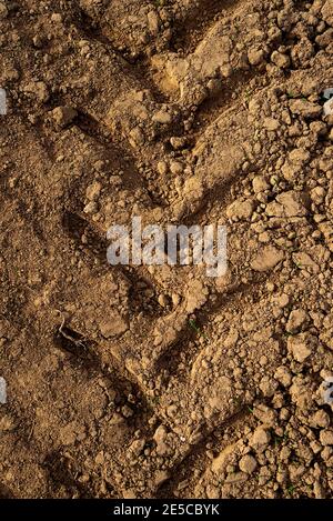 Contrassegno della ruota del trattore sulla sabbia. Contrassegno del battistrada della ruota su una strada sterrata. Foto Stock